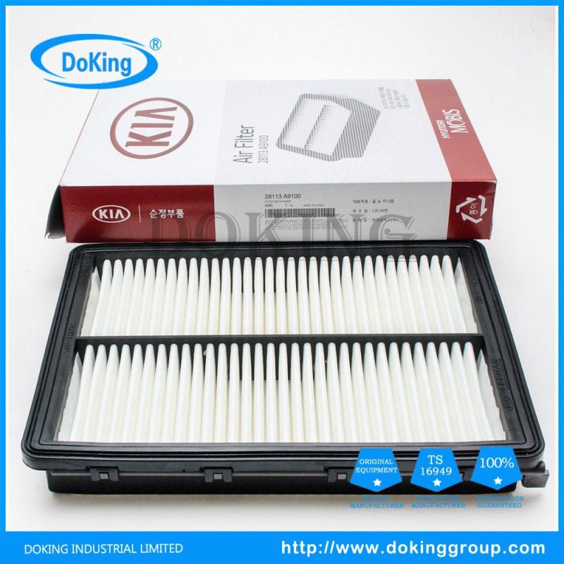 High Quality Air Filter 28113-H9100 for Hyundai/KIA