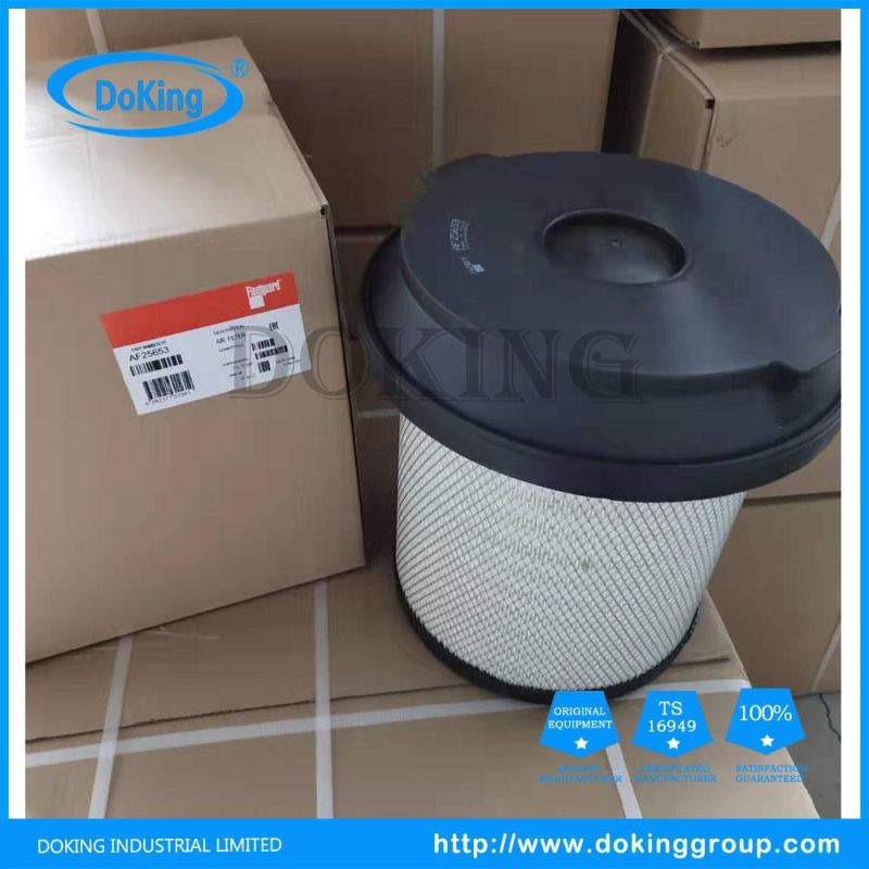 High Quality and Good Price Af25653 Air Filter