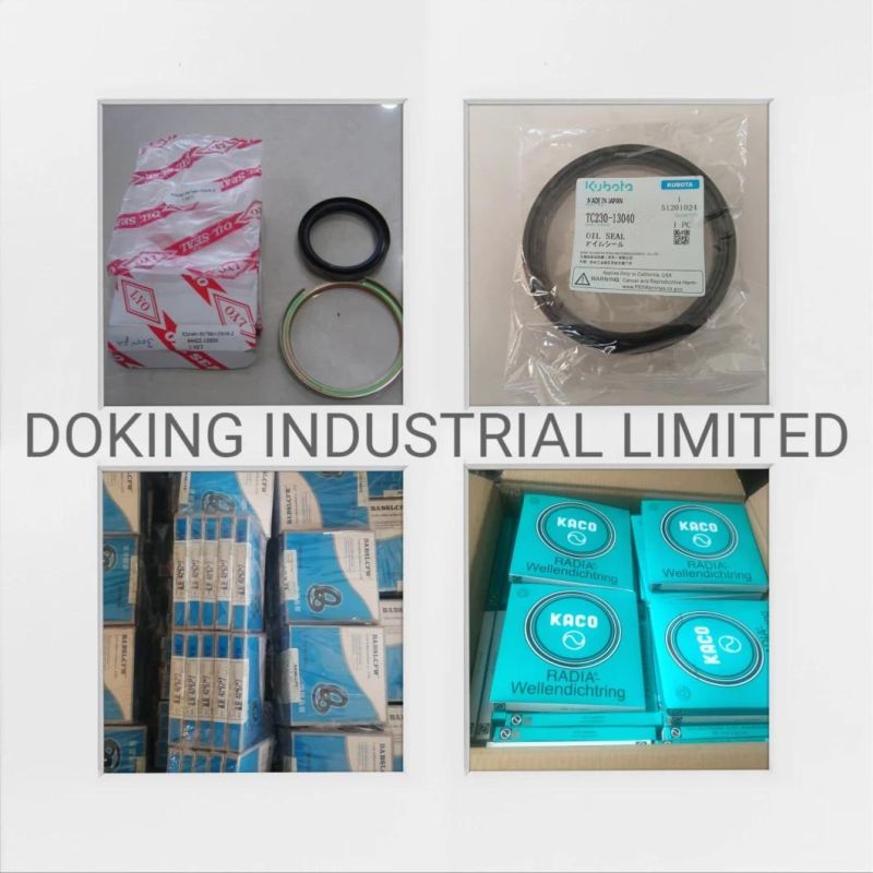 Tc NBR FKM Silicone Skeleton Oil Seal