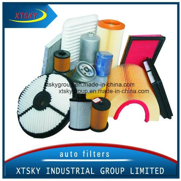 Xtsky Auto Part High Quality Auto Air Filter (OEM NO.: 11029-7010)