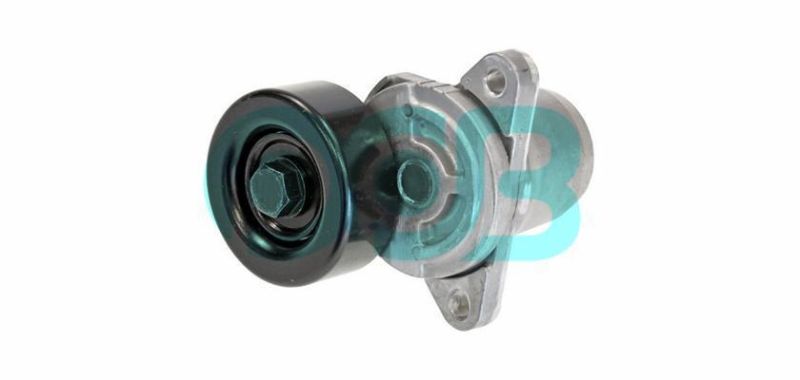 Auto Spare Parts Belt Tensioner Roller Bearing Unit OEM 25281-27000 25281-27400 Vkm65027 534030610 for Hyundai Accent and KIA