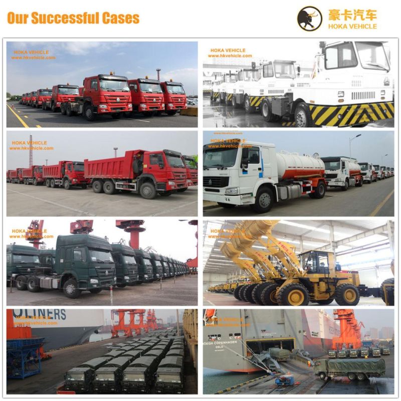 Original Sinotruk HOWO Truck Spare Parts Mini Controller  Wg9716582003 for All Sinotruk Heavy Truck