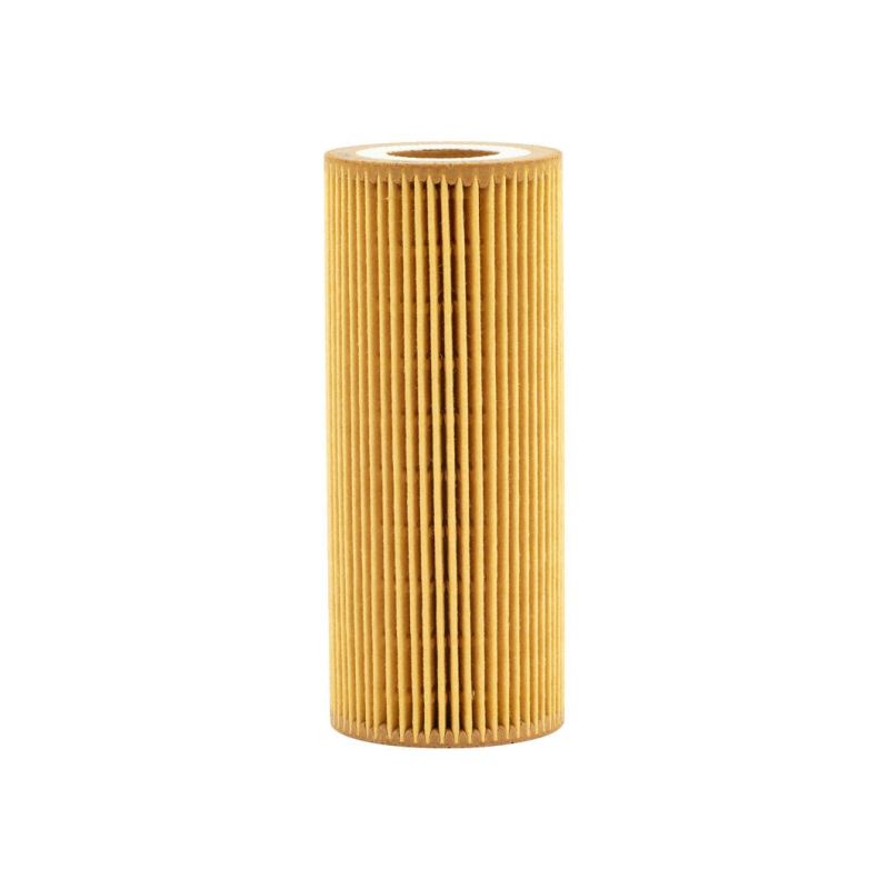 Auto Filter Truck Engine Parts Filter Element/Air/Fuel/Hydraulic/Oil/Cabin 06e115562A