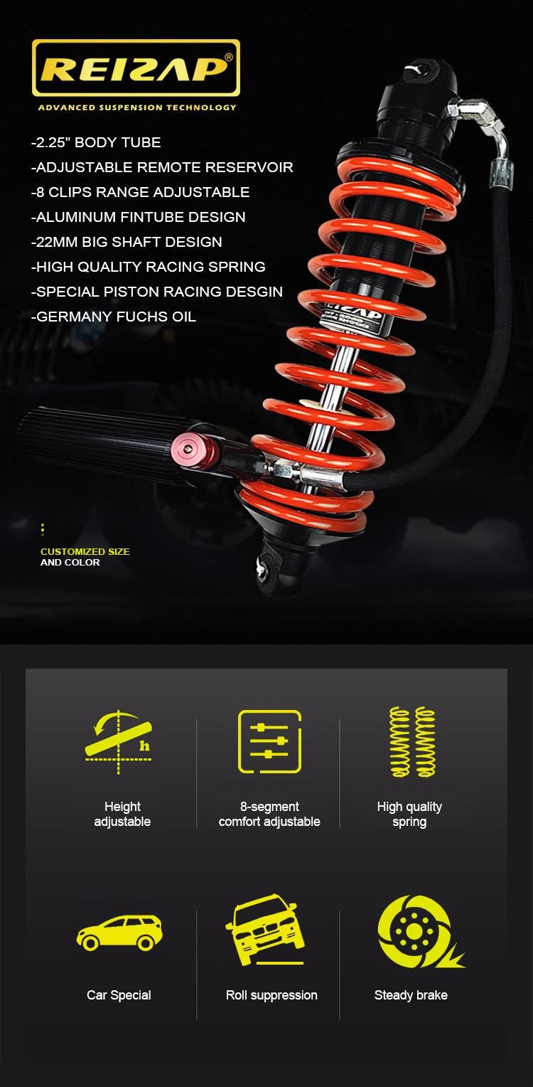 4 Ways Adjustable Professional Racing Coilover Shock Absorber for Buggy