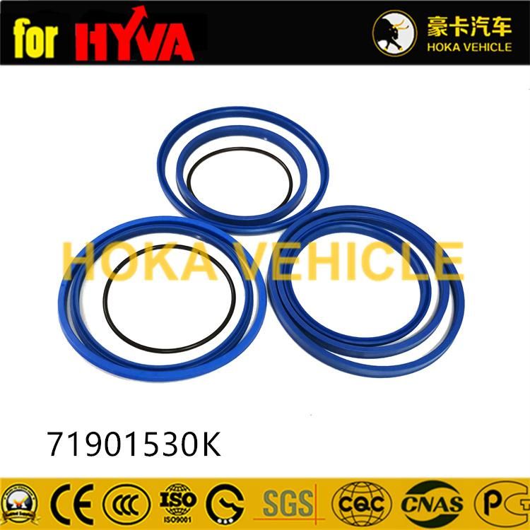 Truck Spare Parts Seal Kit 71901530K for Dump Truck Hyva Hoist System