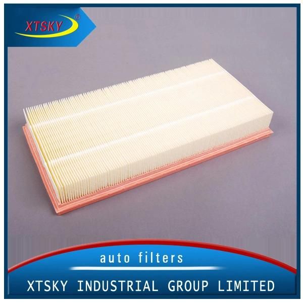 VW/Audi Auto Air Filter 1j0129620 for Car Factory Supply