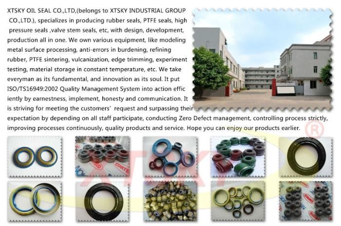 Xtsky Crankshaft Oil Seal (71003700)