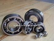 Made in Japan NSK Bearing 6016 2RS 6016 2RS Bearing