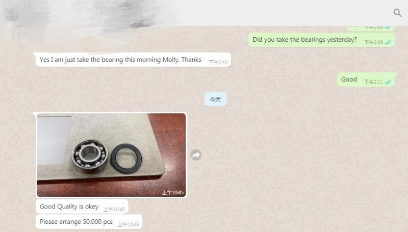 Low Noise 6306 6307 6308 6309 Auto Bearing Wheel Bearing