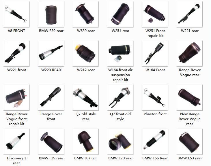 Phaeton/ Bentley Continental Rear Air Suspensions Shock Absorber for Volkswagen
