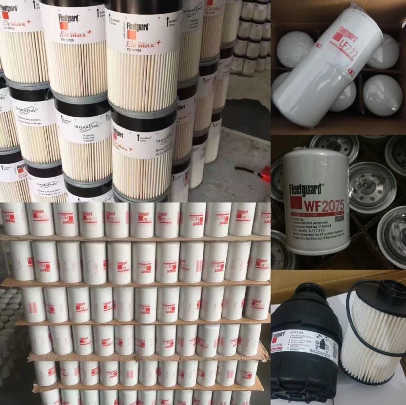 HEPA Hyundai Truck/Heavy Equipment/Excavator Oil Filter Fuel Filter 11e1-70140-as