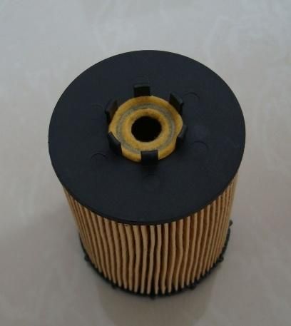 German Car Oil Filter 11427527957 11427542021 11427521008 for BMW X5 550