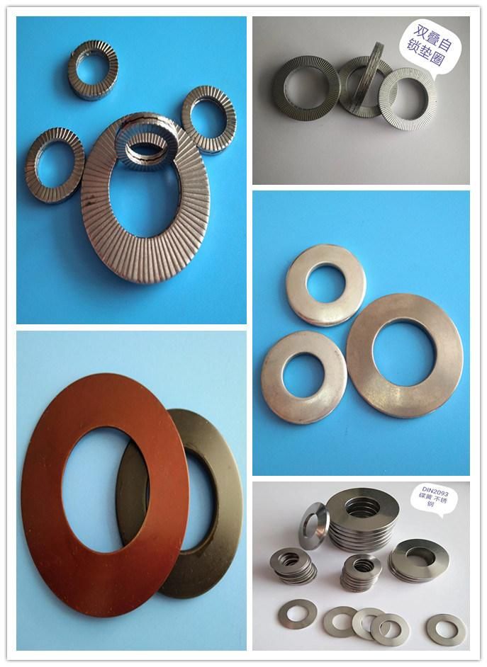 High Precision Customized Metal Disc Spring