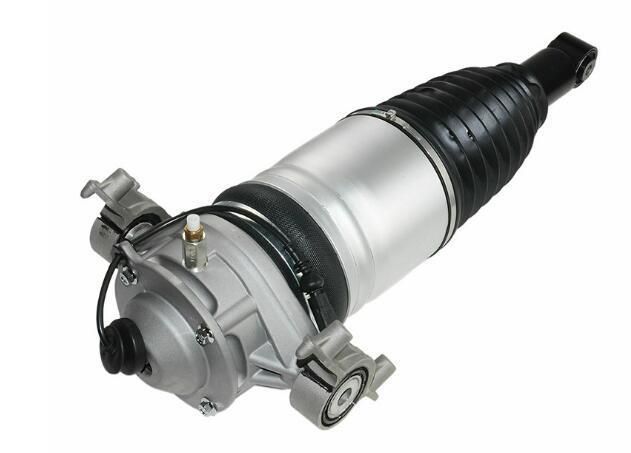 2010-2014 New Rear Cayenne Air Suspension Shock