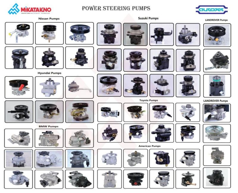 Auto Parts High Quality Power Steering Pumps for American, British, Japanese and Korean Cars Best Supplier