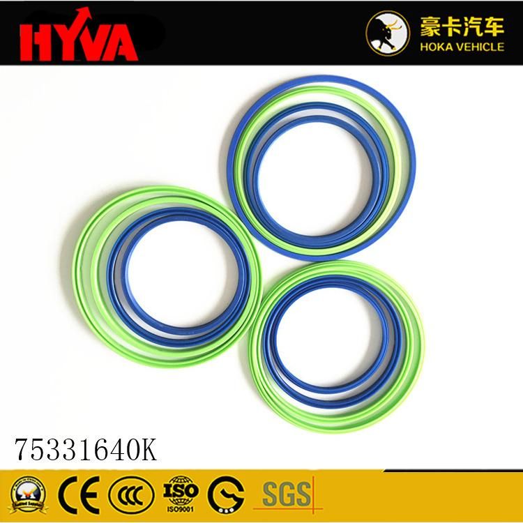 Original and High-Quality Hyva Spare Parts Seal Kit for 172-4 75331640K