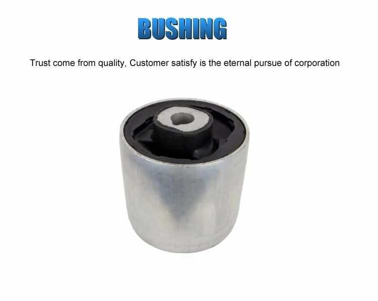 Auto Parts Suspension Bushing for Audi A4 S4 A5 S5 Q5 OE 8K0 407 182 a