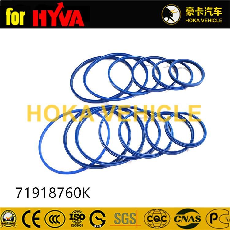 Truck Spare Parts Seal Kit 71908760K for Dump Truck Hyva Hoist System