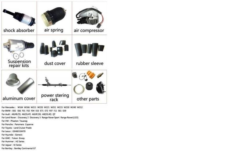 X5/F15 Front Left Air Suspensions Shock for BMW 