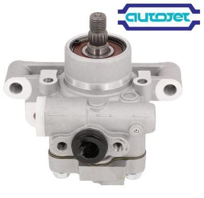 Power Steering Pumps for American, British, Japanese and Korean Cars in High Quality and Favorable Price