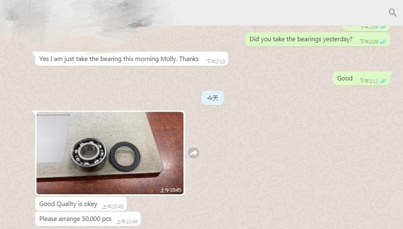 Low Noise Motorcycle Bearing 6301 Motor Bearing