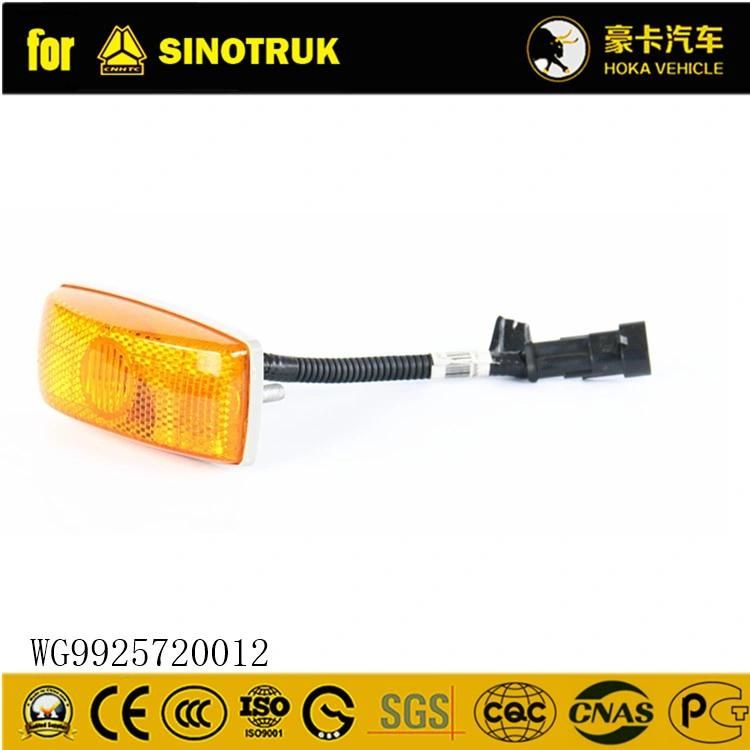 Original Sinotruk HOWO Truck Spare Parts Side Turn Signal (Left) Wg9925720012