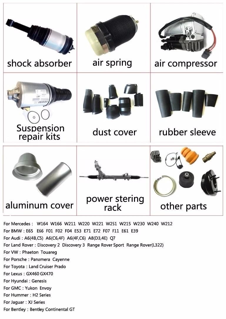 A6 C6 Front Air Suspension Struts for Audi Shock Absorber