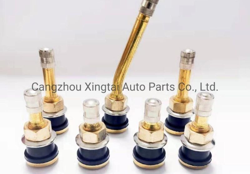 Hot Selling Vacuum Tire Use Metal Valve Nozzles Tire Valves