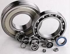 High Quality Ceramic Bearing 6021 6021 2RS 6021 Full Zro2