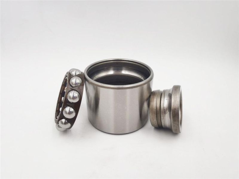 Bt2b445539cc/576467/FC12784s. 03/FC12025s. 09/FC40570/R155.63/S11-3301030 Auto Wheel Bearing