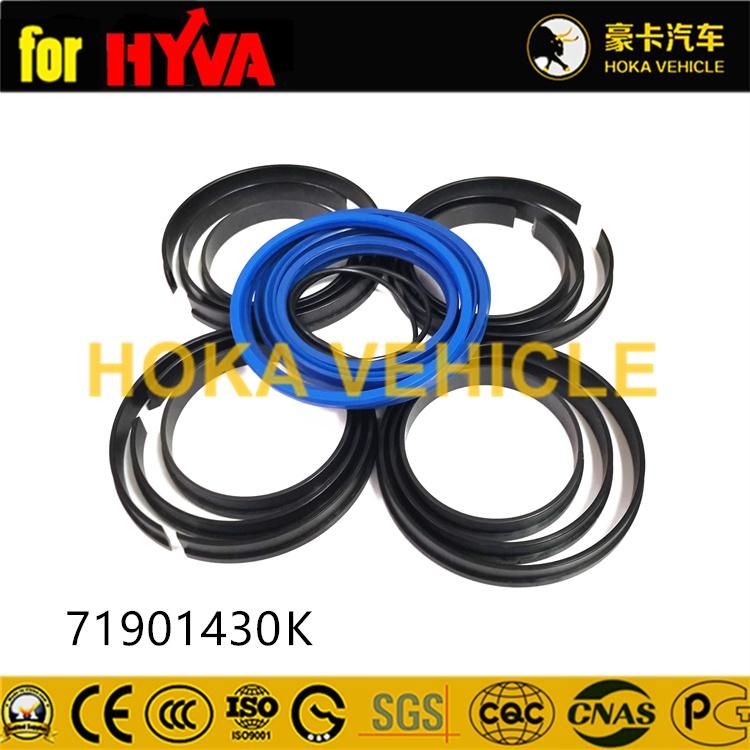 Truck Spare Parts Seal Kit 71901430K for Dump Truck Hyva Hoist System