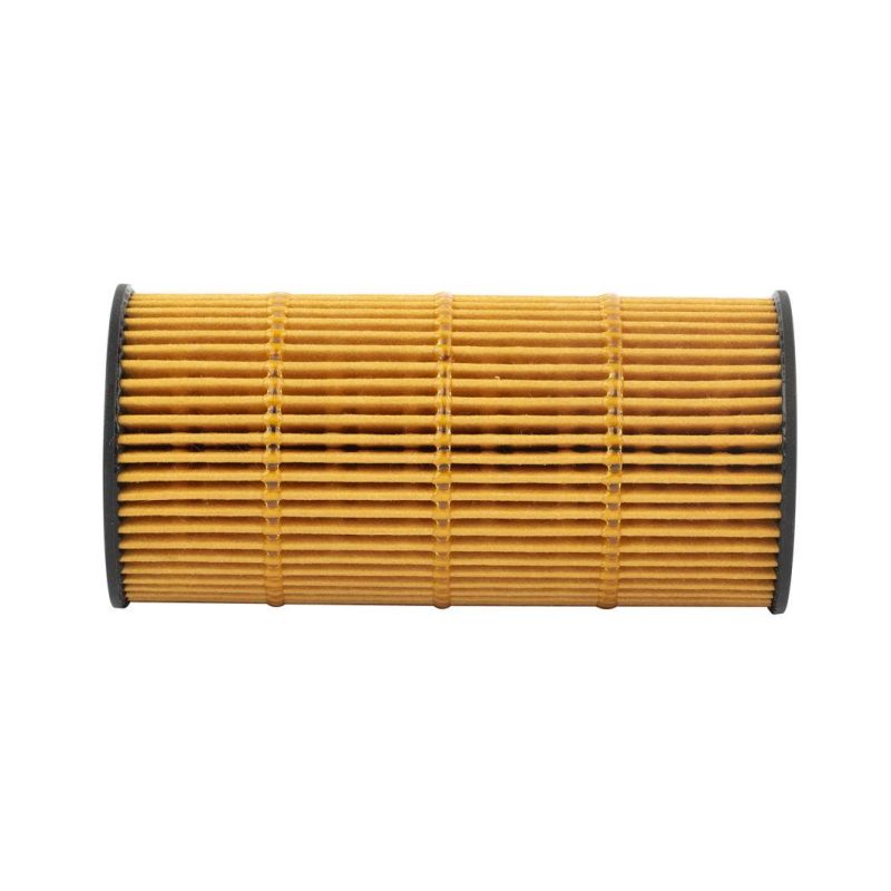 Auto Filter Truck Engine Parts Filter Element/Air/Fuel/Hydraulic/Oil/Cabin 1012014-Fd2301