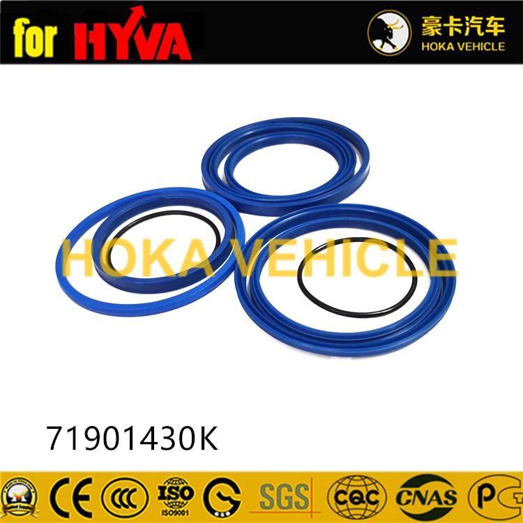 Truck Spare Parts Seal Kit 71901430K for Dump Truck Hyva Hoist System