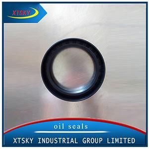 Xtsky High Quality Oil Seal 85*110*16
