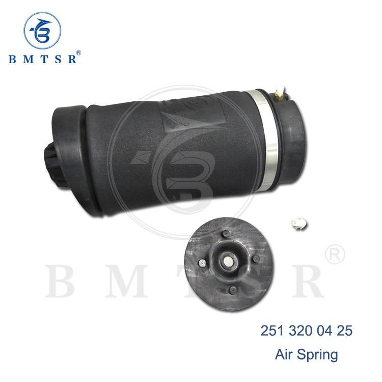 Air Spring for W251 251 320 04 25