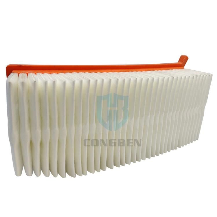 Hot Sale High Quality Air Filter 165467674r Filter for Cars