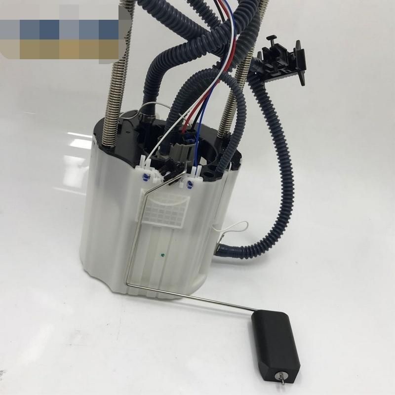 High Quality Fuel Pump Assembly for Chevrolet Akk55097, 13594750