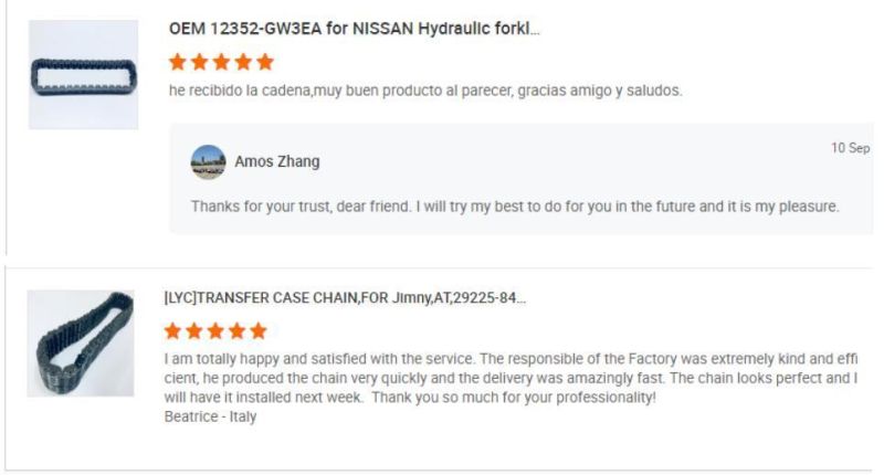 Tansfer Case Timing Chain Transmission Gear Chain Box Chain Car Transfer Output Shaft Drive Chain 5012322ab 26976 30965 Hv-071 Hv-062 for Jeep GM 22500 12547628