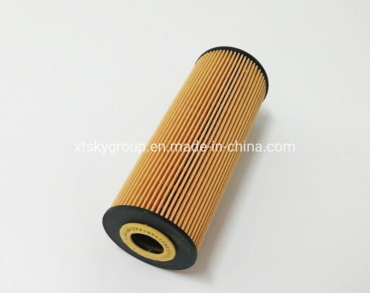 Auto Oil Filter 152094543r for Renault