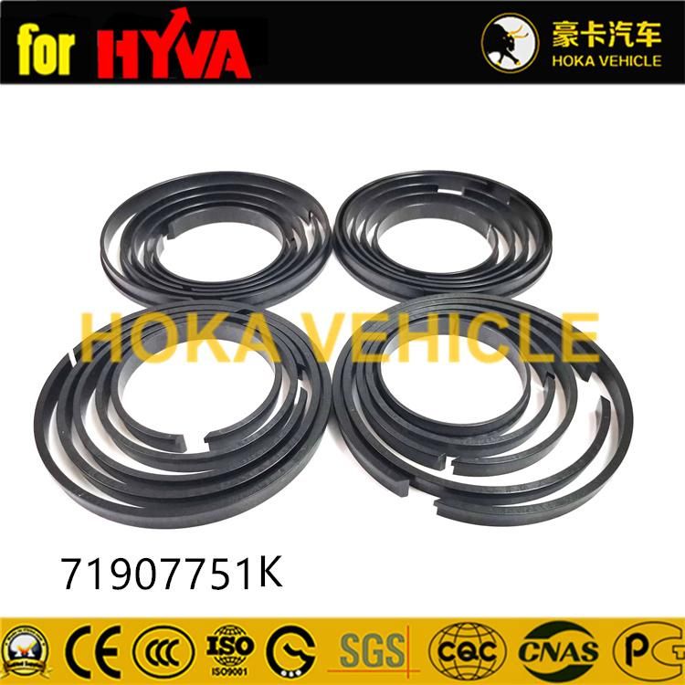 Truck Spare Parts Seal Kit 71907751K for Dump Truck Hyva Hoist System