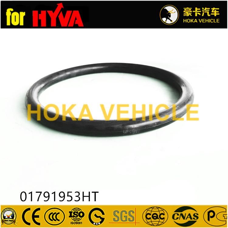 Truck Spare Parts Oil Seal 01791953ht for Dump Truck Hoist System