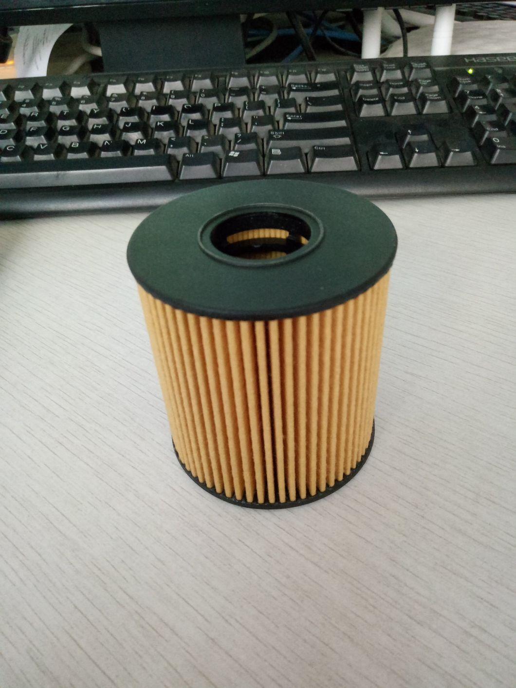 Auto Parts Filter Element Car Parts Fuel Filter 11427557012 for Land Rover Peugeot Citroen