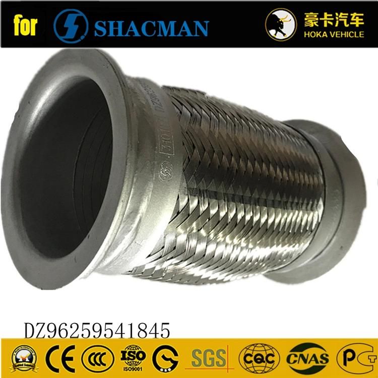 Original Shacman Spare Parts M3000 Flexible Hose for Shacman Heavy Duty Truck