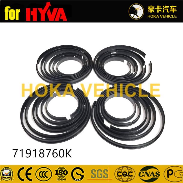 Truck Spare Parts Seal Kit 71908760K for Dump Truck Hyva Hoist System