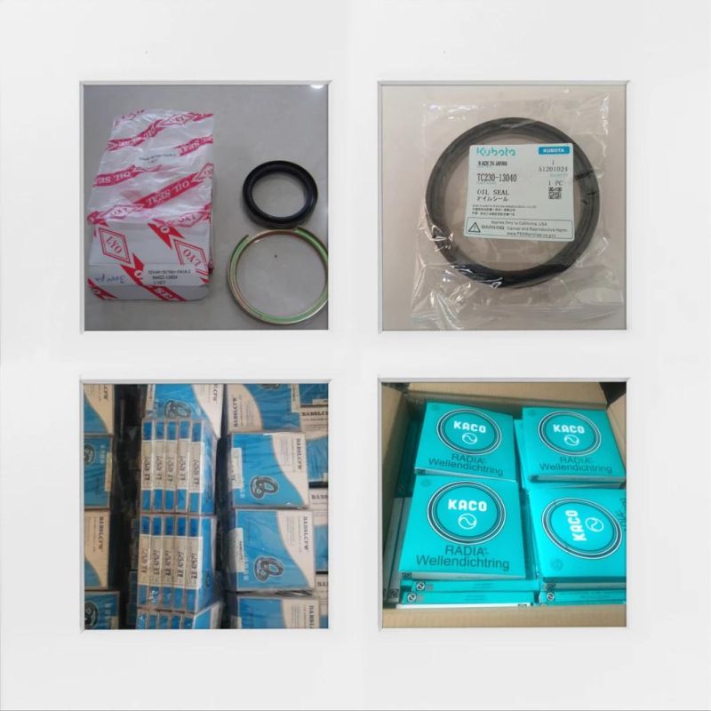 Security Seal NBR FKM Tc Oil Seal with Various Size