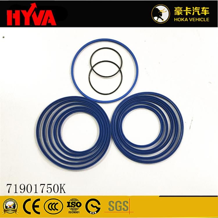 Original and High-Quality Hyva Spare Parts Seal Kit for 191-5 71901750K