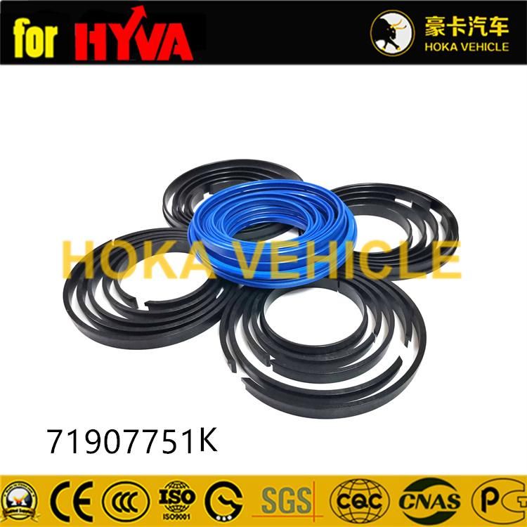 Truck Spare Parts Seal Kit 71907751K for Dump Truck Hyva Hoist System