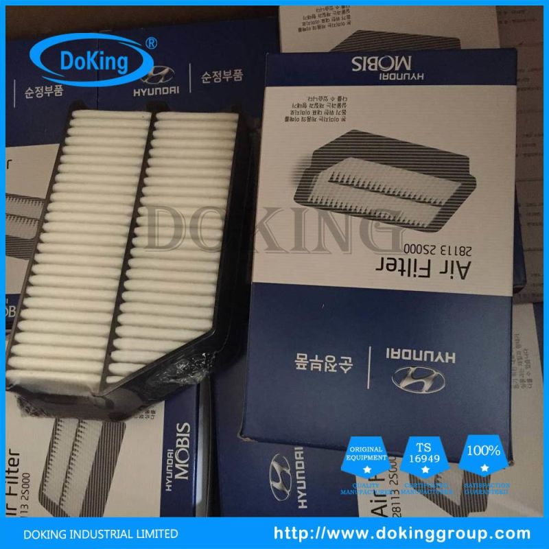 High Quality Hyundai Air Filter 28113-2s000