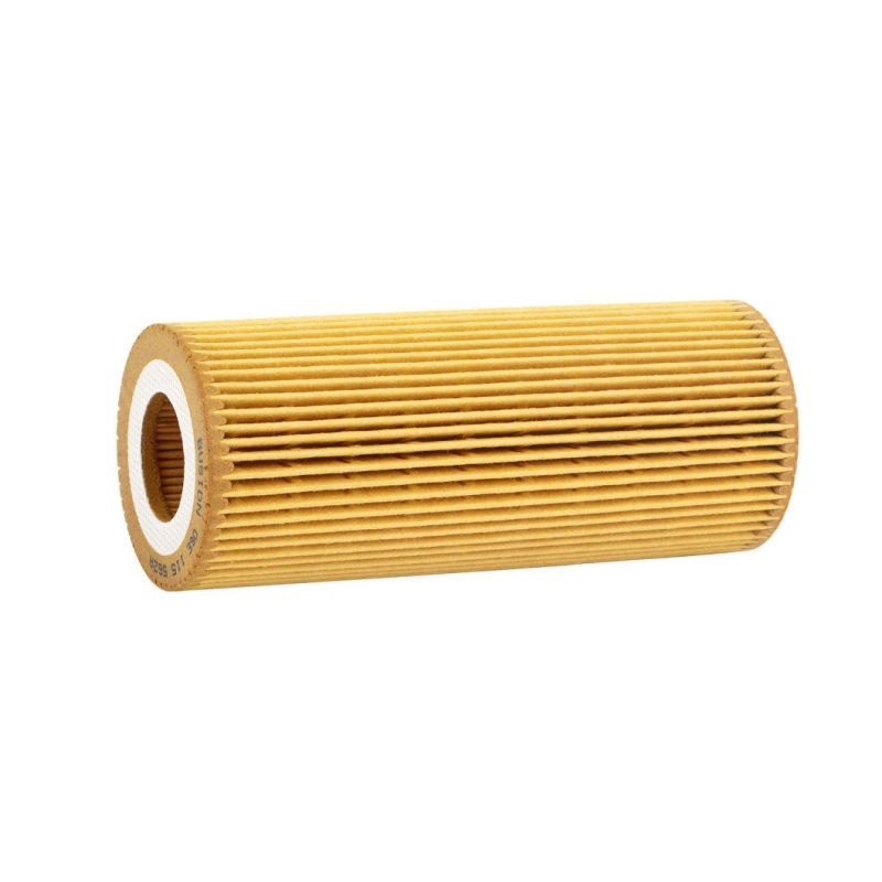 Auto Filter Truck Engine Parts Filter Element/Air/Fuel/Hydraulic/Oil/Cabin 06e115562A