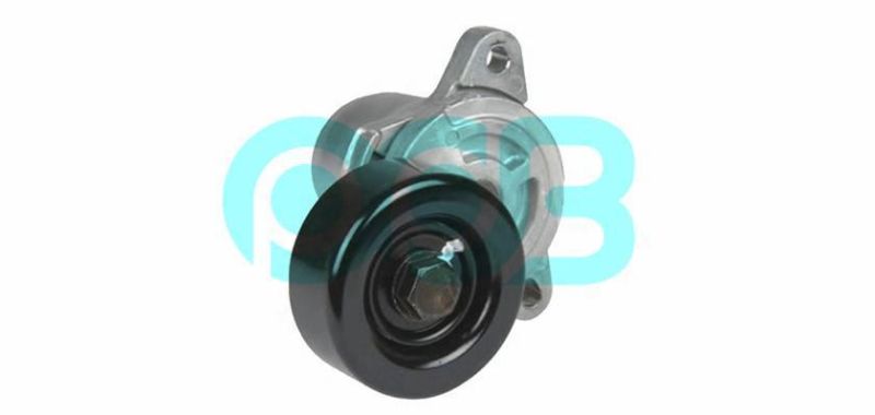 Auto Spare Parts Belt Tensioner Roller Bearing Unit OEM 25281-27000 25281-27400 Vkm65027 534030610 for Hyundai Accent and KIA